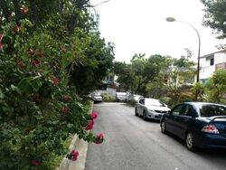 Happy Park (D20), Semi-Detached #585074561